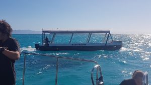 Novice Scuba Diving the Great Barrier Reef! - 01/12/2023
