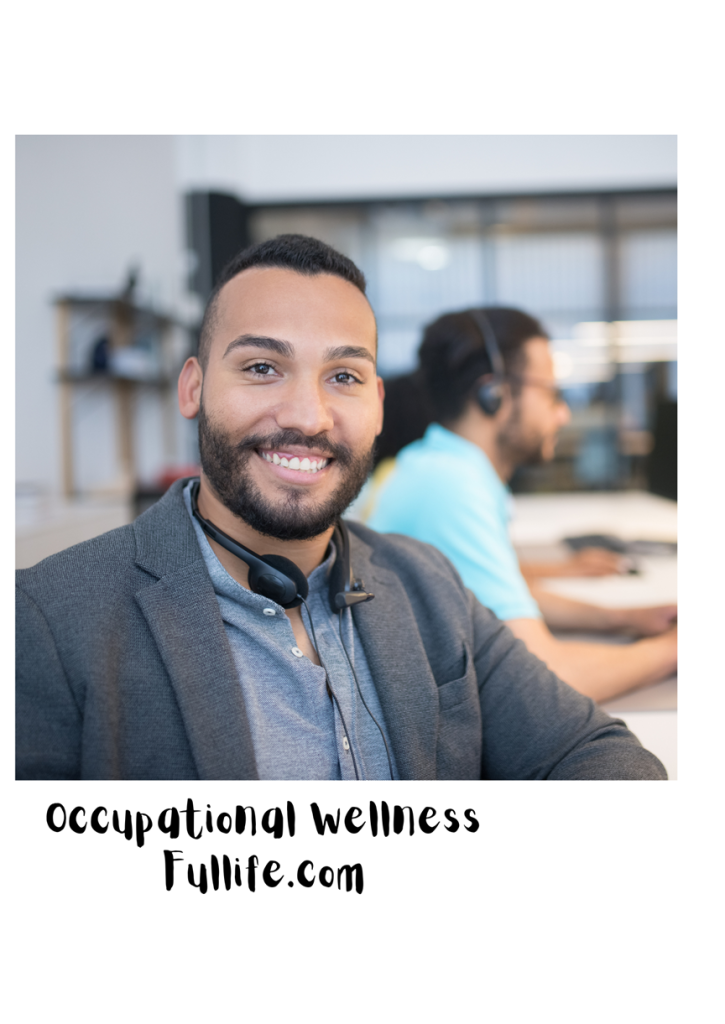 Occupational Wellness
